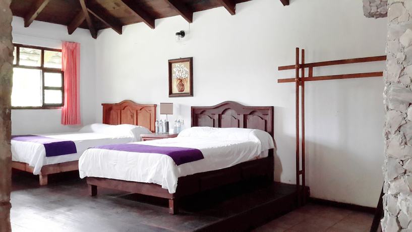 Imagen general del Hotel and Cabañas amara Café. Foto 1