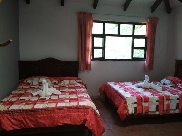 Imagen de la habitación del Hotel and Caba&ntilde;as amara Caf&eacute;. Foto 18