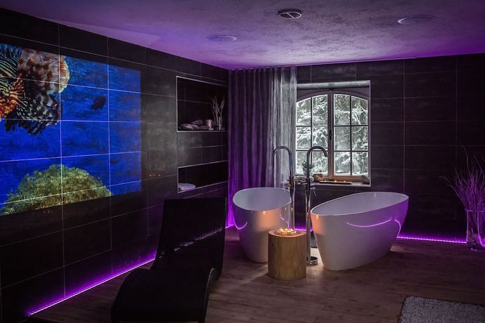 Imagen de la piscina del Hotel and Garden U Holubů. Foto 16
