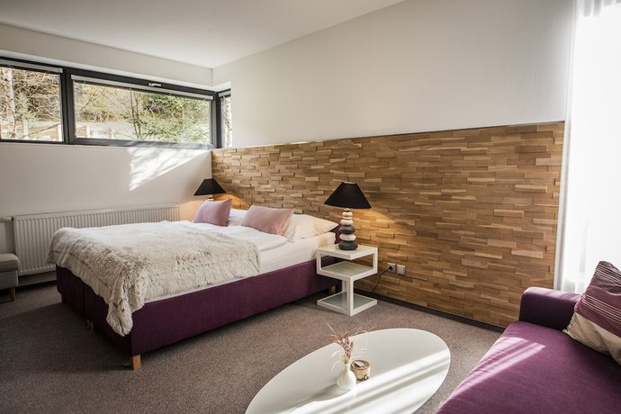 Imagen de la habitación del Hotel and Garden U Holubů. Foto 9
