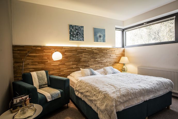 Imagen de la habitación del Hotel and Garden U Holubů. Foto 11