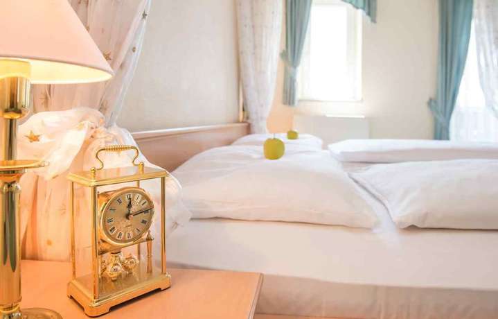 Imagen de la habitación del Hotel and Gasthof Wolfringm&uuml;hle. Foto 5