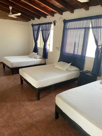 Imagen de la habitación del Hotel and Hostal Mayflower. Foto 15
