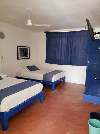 Imagen general del Hotel and Hostal Mayflower. Foto 5