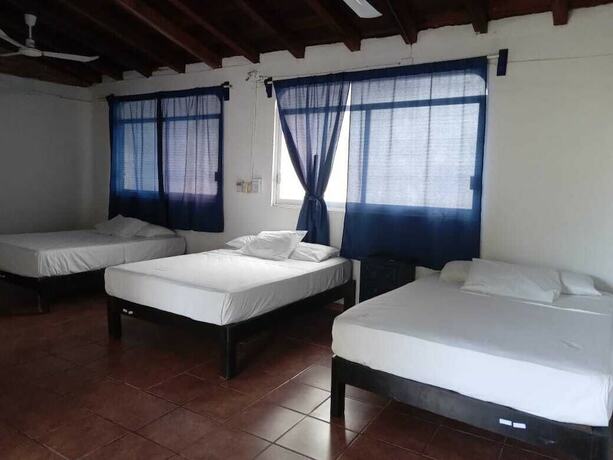 Imagen de la habitación del Hotel and Hostal Mayflower. Foto 19