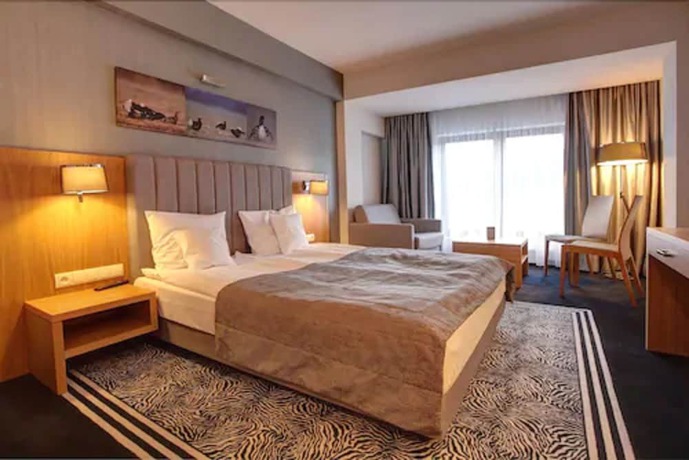 Imagen de la habitación del Hotel and Medi-SPA Bialy Kamien. Foto 4