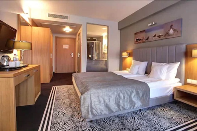 Imagen de la habitación del Hotel and Medi-SPA Bialy Kamien. Foto 18