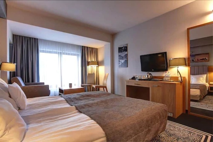 Imagen de la habitación del Hotel and Medi-SPA Bialy Kamien. Foto 20