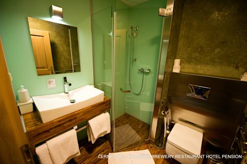 Imagen de la habitación del Hotel and Pivovar Čern&Yacute; Orel. Foto 10