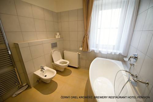 Imagen de la habitación del Hotel and Pivovar Čern&Yacute; Orel. Foto 16