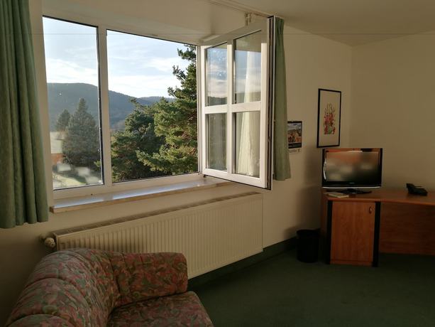 Imagen de la habitación del Hotel and Restaurant Bergfried. Foto 10