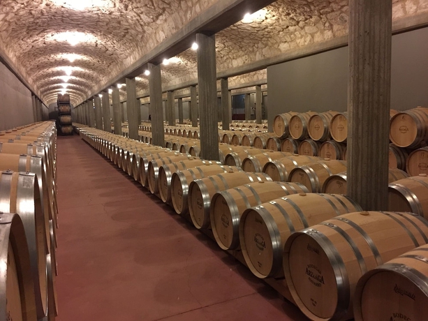 Imagen de los interiores del Hotel and Spa Arzuaga. Foto 16