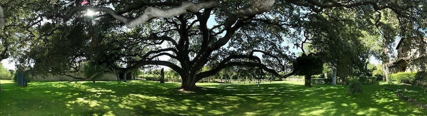 Imagen de los exteriores del Hotel and Spa Arzuaga. Foto 11