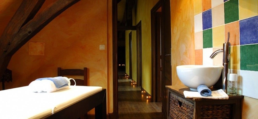 Imagen de los interiores del Hotel and Spa Du Domaine Des Thômeaux, The Originals Relais (relais Du Silence). Foto 9