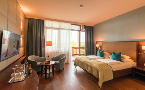 Imagen de la habitación del Hotel and Spa Larimar. Foto 5