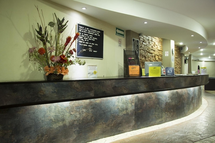 Imagen de los interiores del Hotel and Suites Domani. Foto 15