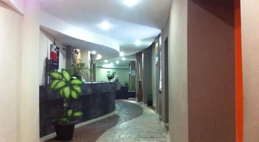 Imagen de los interiores del Hotel and Suites Domani. Foto 16