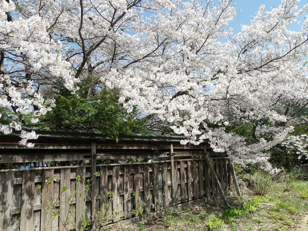 Imagen de los interiores del Hotel andresort Yamanouchi Hills. Foto 13