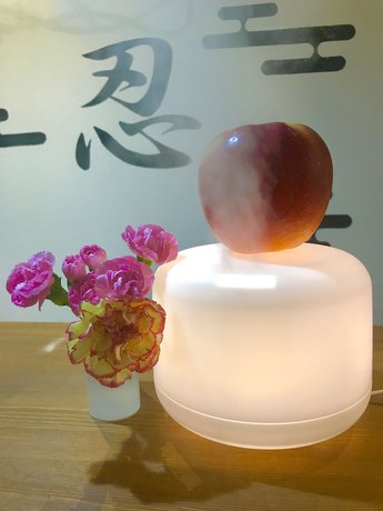 Imagen de los interiores del Hotel bnb+ Ninja Otsuka - Hostel. Foto 13