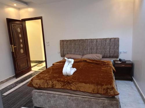 Imagen de la habitación del Hotel فندق كايرو زد-cairo zed hotel. Foto 18
