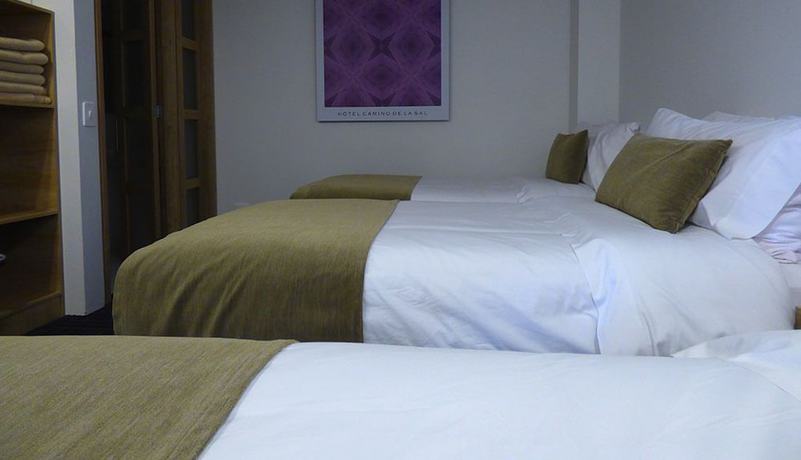 Imagen de la habitación del Hotel camino de la sal. Foto 16