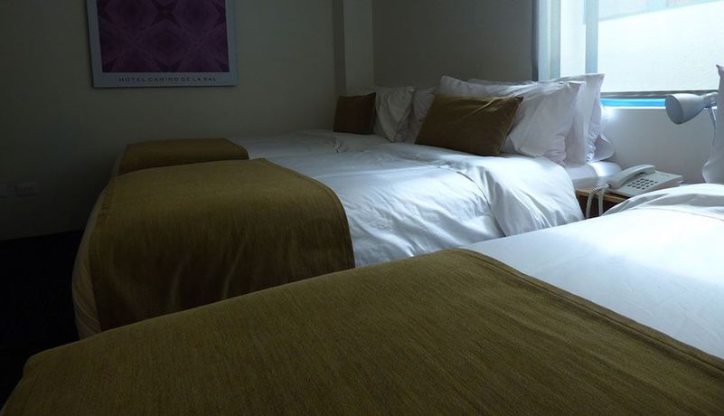 Imagen de la habitación del Hotel camino de la sal. Foto 18