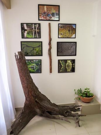 Imagen de los interiores del Hotel casa dos Frades. Foto 14