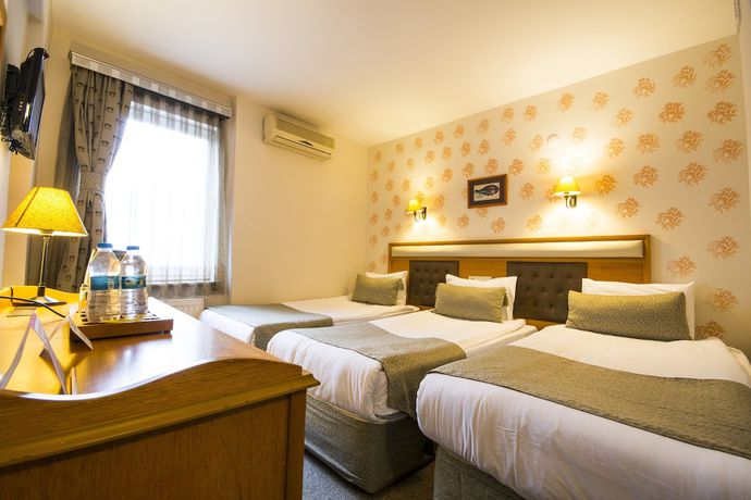 Imagen de la habitación del Hotel &ccedil;anak. Foto 13