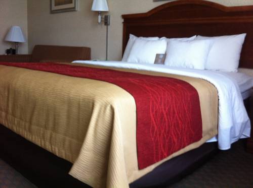 Imagen general del Hotel comfort inn & suites galt - lodi north. Foto 1