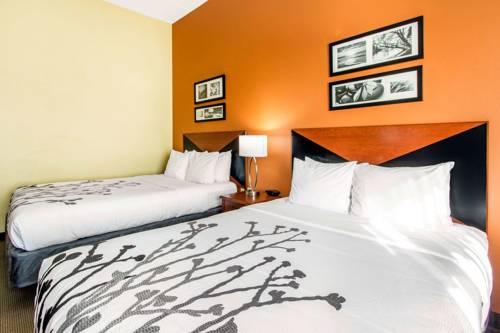 Imagen de la habitación del Hotel comfort inn & suites wildwood - the villages. Foto 2