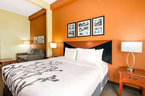 Imagen de la habitación del Hotel comfort inn & suites wildwood - the villages. Foto 3