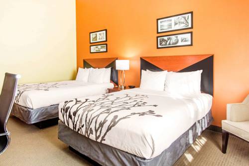 Imagen de la habitación del Hotel comfort inn & suites wildwood - the villages. Foto 4