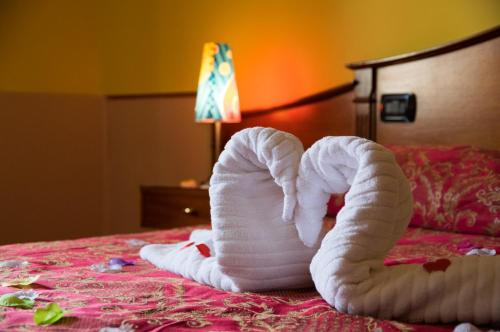 Imagen general del Hotel cupido park. Foto 6