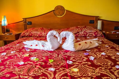 Imagen general del Hotel cupido park. Foto 11