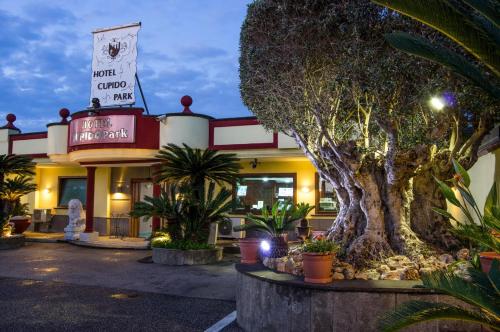 Imagen general del Hotel cupido park. Foto 13