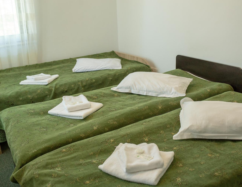 Imagen general del Hotel curtea brancovenească. Foto 5