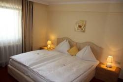 Imagen general del Hotel das zellersee. Foto 4
