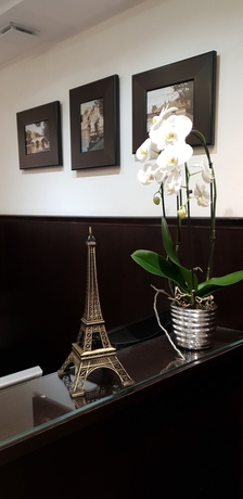 Imagen de los interiores del Hotel de la Paix, Torre Eiffel. Foto 14