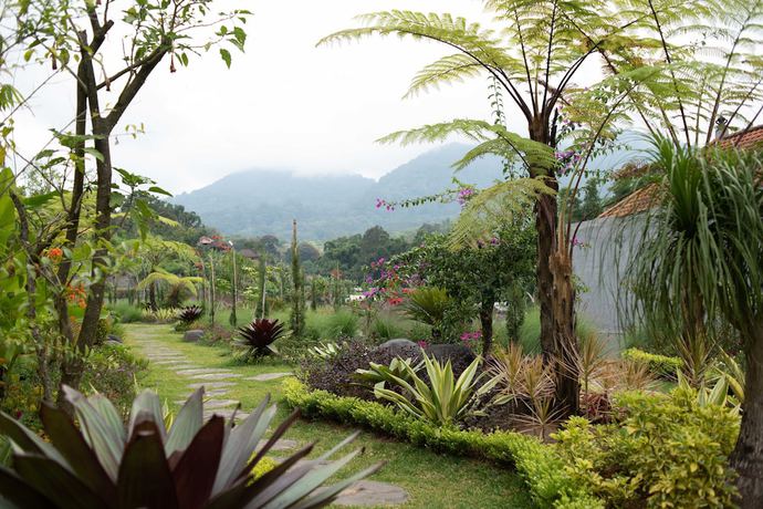 Imagen de los exteriores del Hotel dedanau. Foto 14