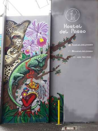 Imagen general del Hotel del Paseo - Hostel. Foto 14