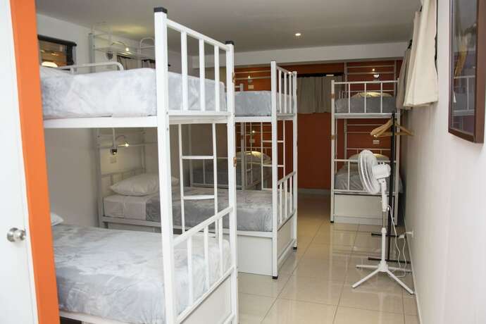 Imagen de la habitación del Hotel del Paseo - Hostel. Foto 19
