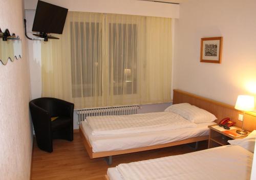 Imagen general del Hotel des Alpes, La Tour-de-Tr&ecirc;me. Foto 2