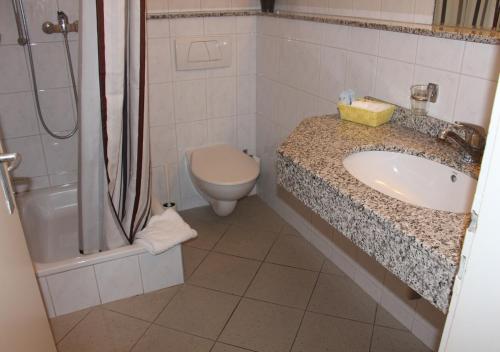 Imagen de la habitación del Hotel des Alpes, La Tour-de-Tr&ecirc;me. Foto 8