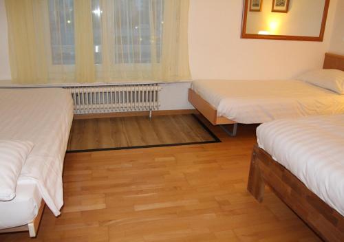 Imagen general del Hotel des Alpes, La Tour-de-Tr&ecirc;me. Foto 3
