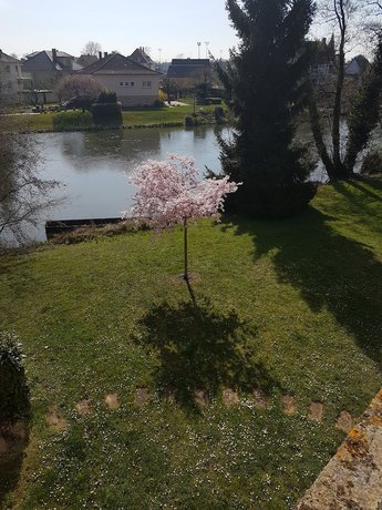 Imagen de la habitación del Hotel des Bords de l'Ill. Foto 12