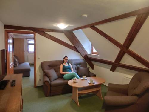 Imagen de la habitación del Hotel dvůr str&aacute;ň. Foto 9