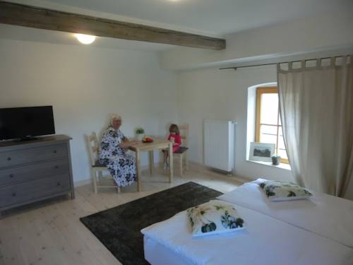 Imagen de la habitación del Hotel dvůr str&aacute;ň. Foto 14