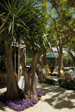 Imagen de los interiores del Hotel e Resort Villa Favorita. Foto 15