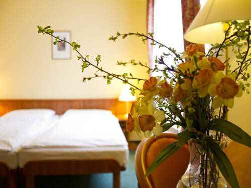 Imagen de la habitación del Hotel ea hotel na jezeře. Foto 13