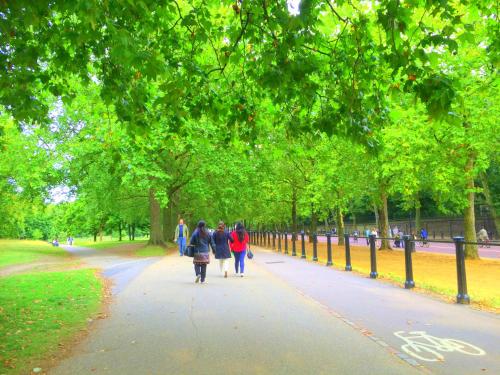 Imagen general del Hotel easyHotel Victoria. Foto 13